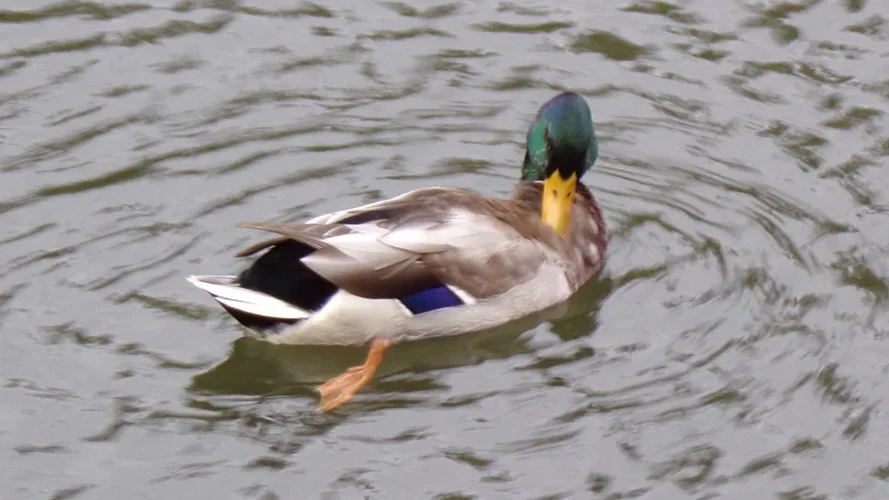 200925_1177_960x540.webp 200925_1177_960x540.webp