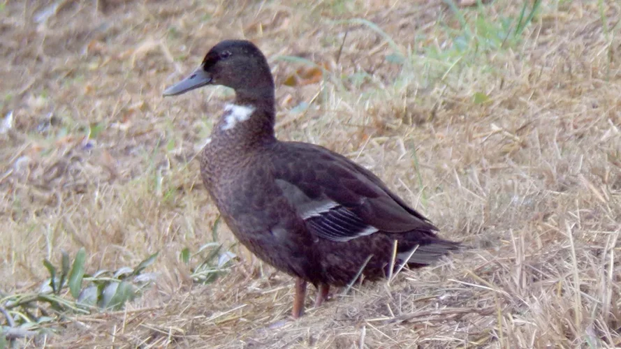 200925_1188_960x540.webp 200925_1188_960x540.webp