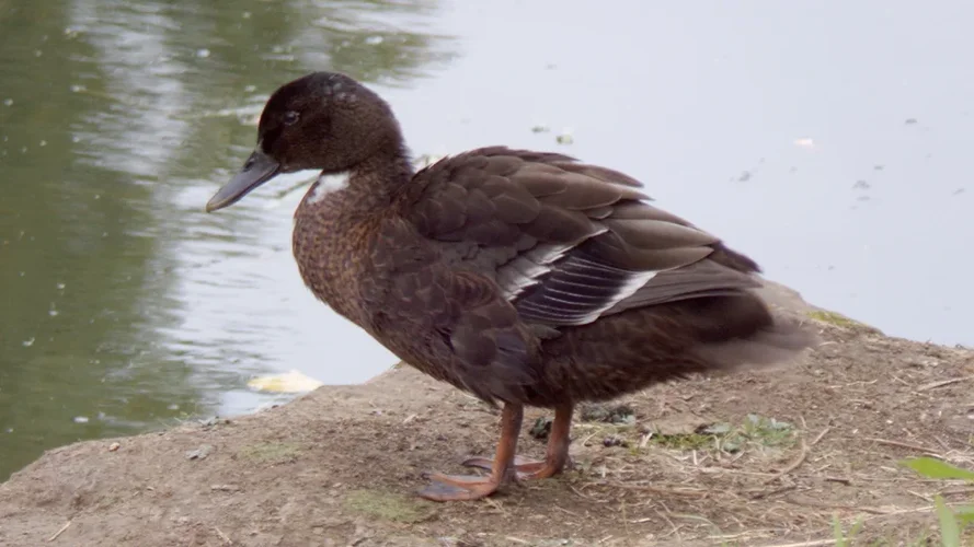 200925_1212_960x540.webp 200925_1212_960x540.webp