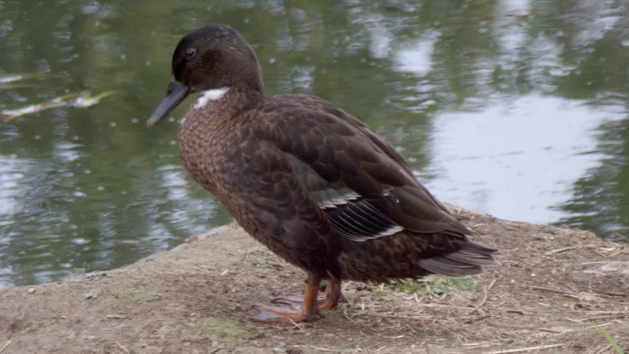 200925_1225_960x540.webp 200925_1225_960x540.webp