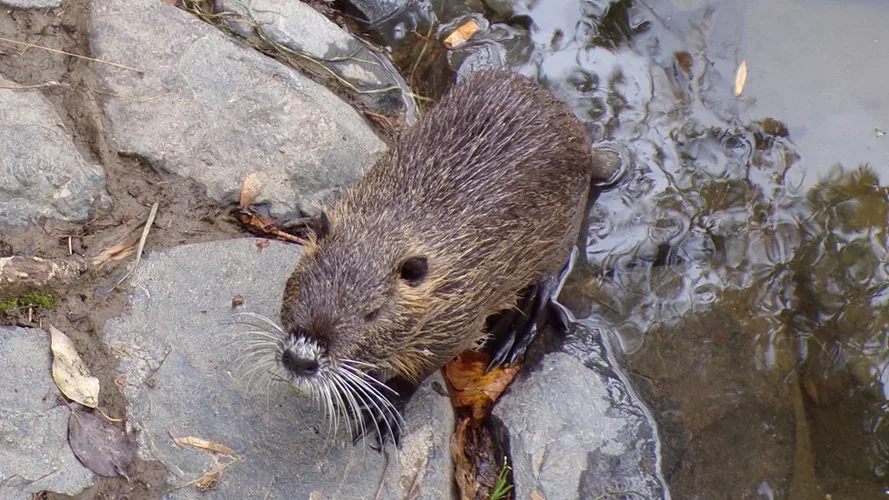 200925_1243_960x540.webp 200925_1243_960x540.webp