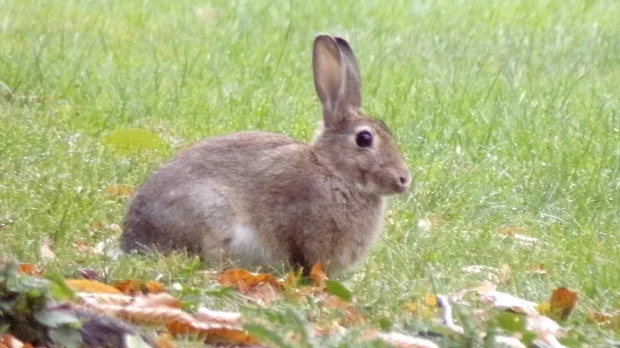 200925_1129_960x540.webp 200925_1129_960x540.webp