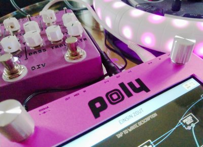 poly in pink setup.JPG