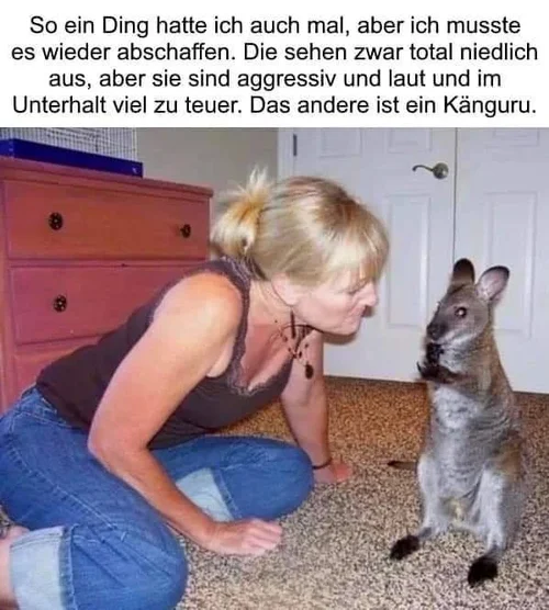 Bild_2020-11-09_192648.webp Bild_2020-11-09_192648.webp