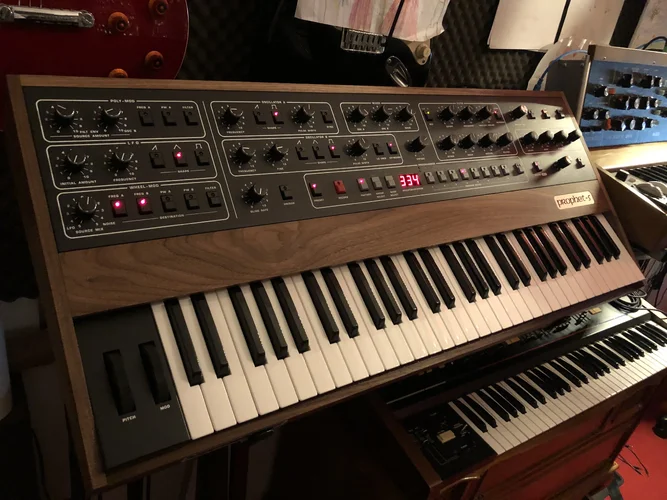 IMG_7256.webp IMG_7256.webp