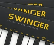 swingercontroller.webp