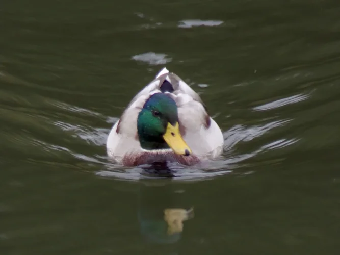 200925_1176_960x720.webp 200925_1176_960x720.webp