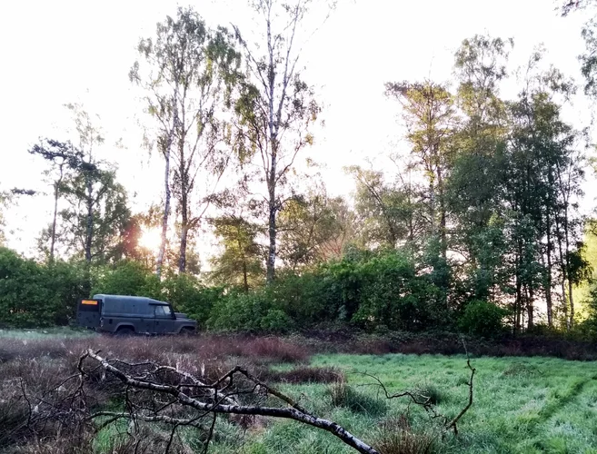 IMG_20190518_062032325_HDR.webp IMG_20190518_062032325_HDR.webp