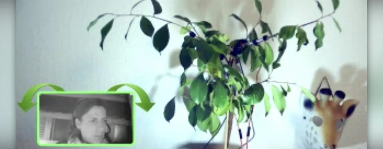 Bildschirmfoto 2020-12-04 um 20.54.18.webp