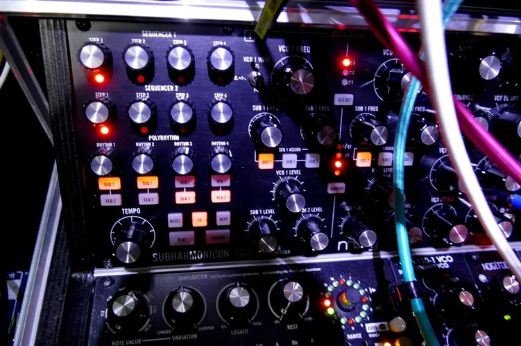 2020-172 Moog Subharmonicon 02.webp