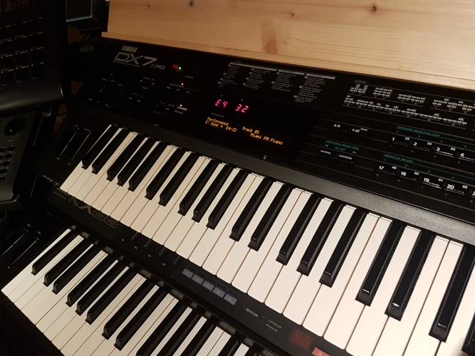 Renewerk DX7II 2.jpg