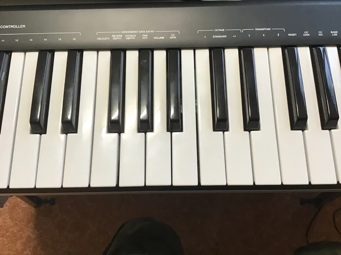 FB217455-363F-46F3-90B5-E26759273C5C.webp FB217455-363F-46F3-90B5-E26759273C5C.webp