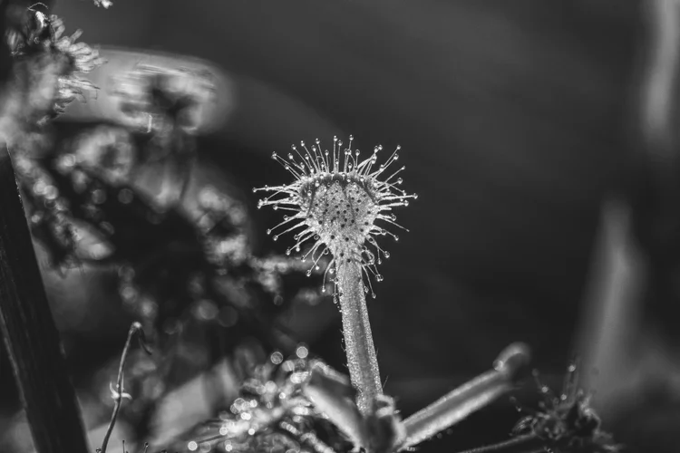 Bild 31.12.20 um 15.13.webp