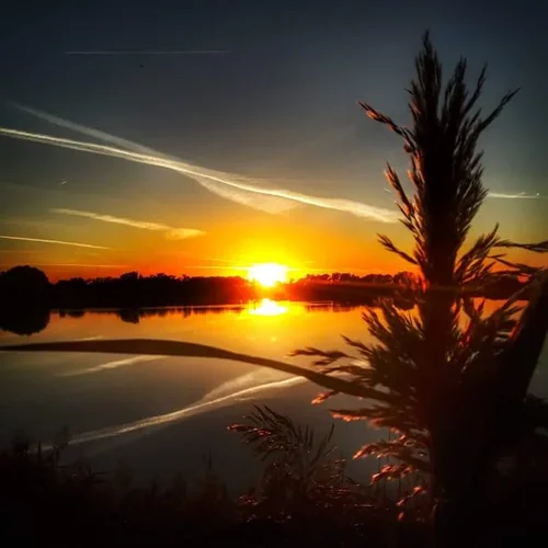 FB_IMG_1609633237775.webp FB_IMG_1609633237775.webp