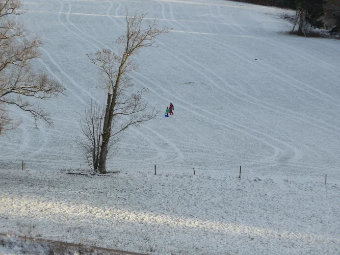 P1040651.jpg P1040651.jpg