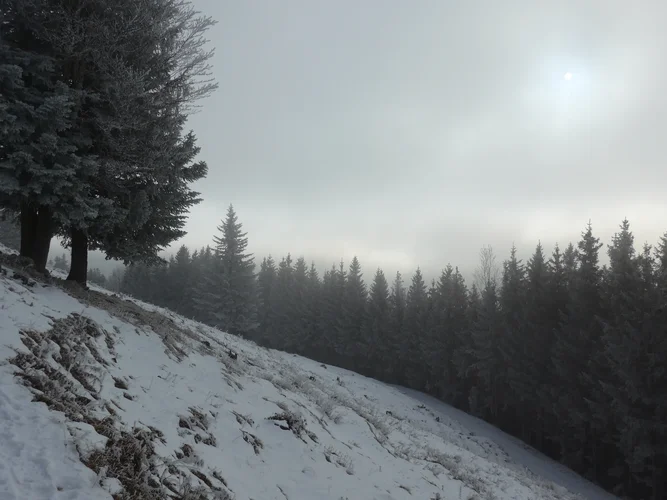 P1040672.jpg P1040672.jpg