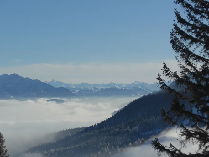 P1040680.jpg P1040680.jpg