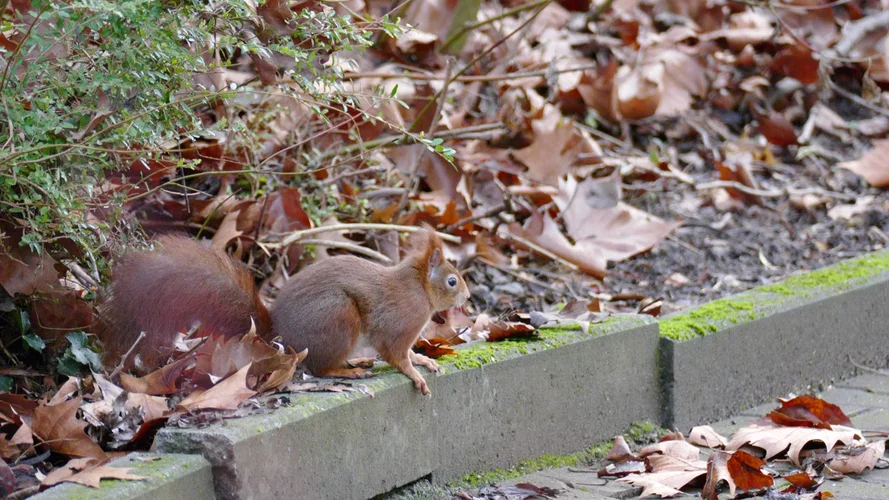 210113_5775_1280x720.webp 210113_5775_1280x720.webp