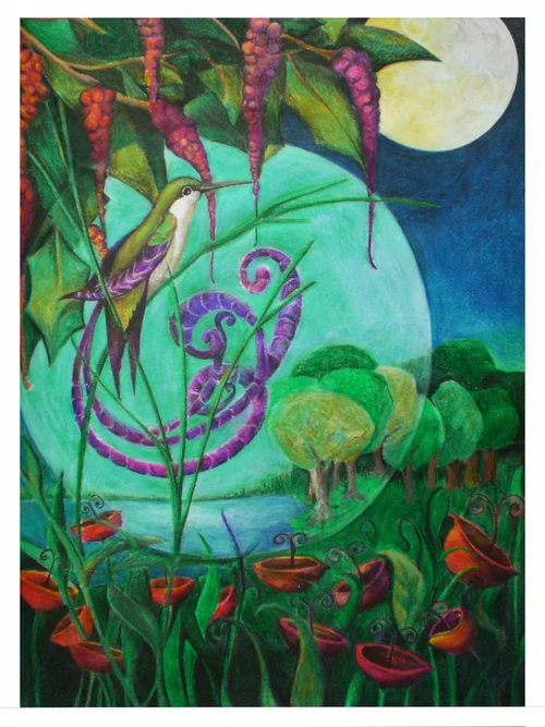 paradiesvogel whit border.webp