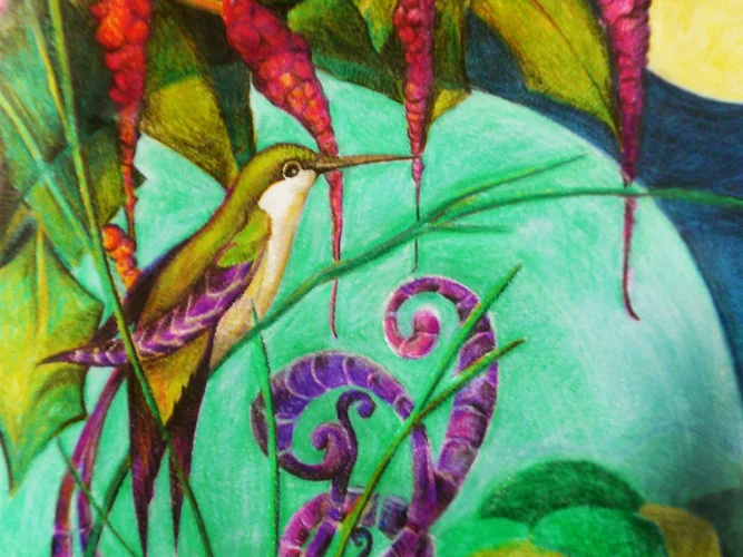 paradiesvogel nicht ganz nah.webp