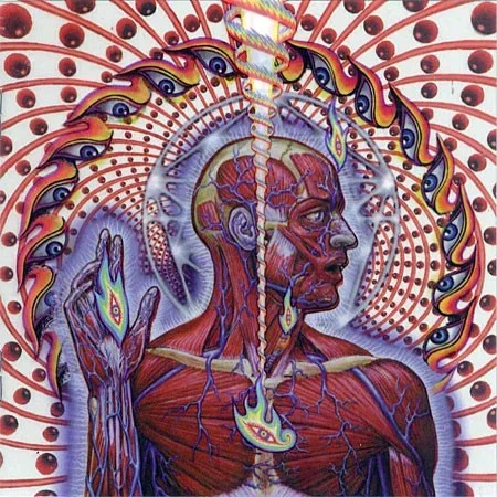 lateralus_inside.webp