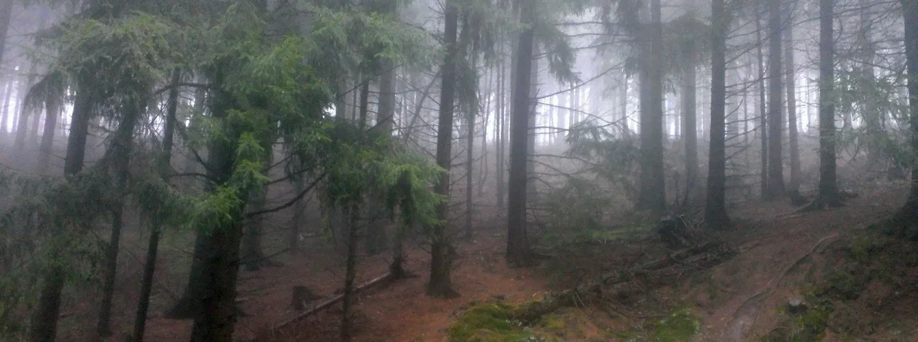 teuto 01_01_13 2.webp