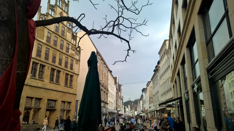 WP_20150411_14_32_48_Pro 1.webp