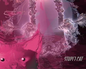 shazi liveset fix.webp