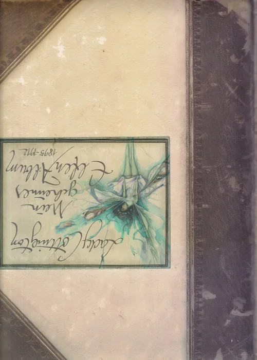 IMG_0009.webp IMG_0009.webp