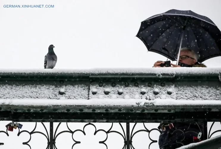 139662913_16105001011271n.jpg 139662913_16105001011271n.jpg