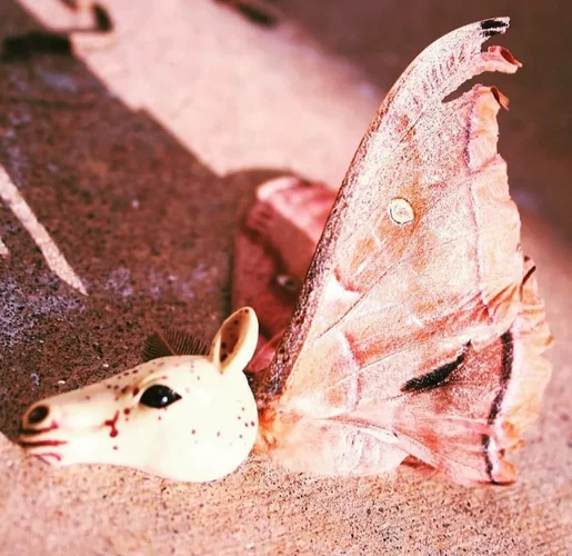 20210205_000747.webp 20210205_000747.webp