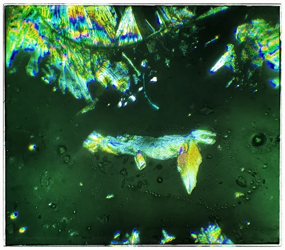 17AFA018-7428-4134-9203-74A4EA374B59.webp 17AFA018-7428-4134-9203-74A4EA374B59.webp