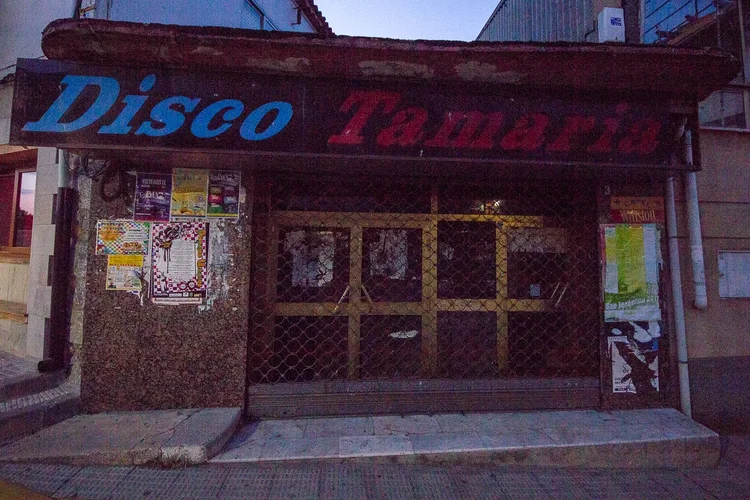 DiscoTamaria-1.webp DiscoTamaria-1.webp