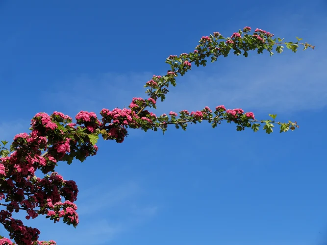 DSCF3764.webp DSCF3764.webp