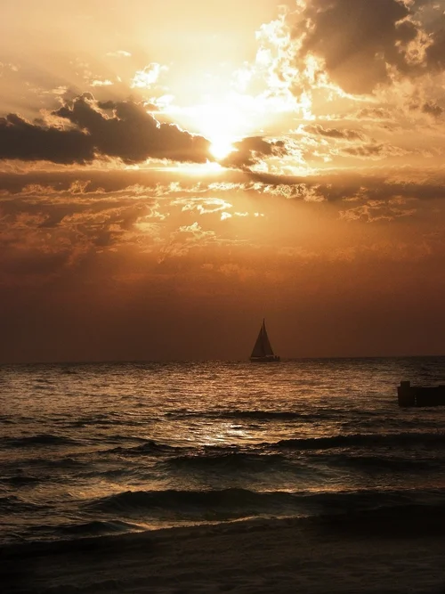 Cosso Ostsee Morgensegler .webp