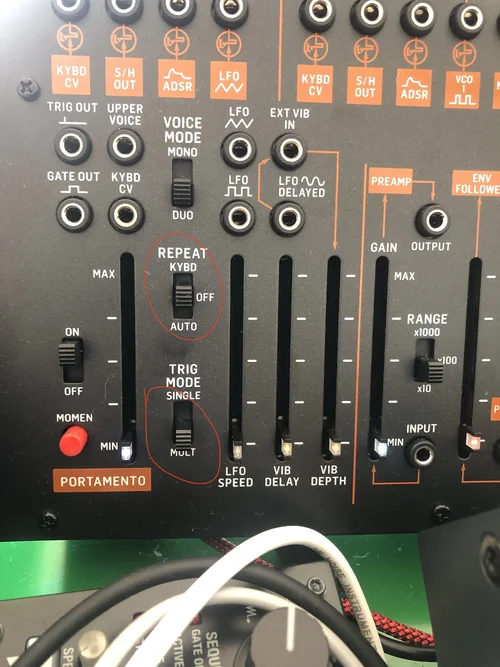 IMG_8100.webp IMG_8100.webp