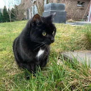 3FA7DD5A-C48F-4A8C-B1E9-FB75EB2F8DEE.webp 3FA7DD5A-C48F-4A8C-B1E9-FB75EB2F8DEE.webp