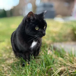 4D2B67F4-E60A-435E-88EE-E01D6581FB45.webp 4D2B67F4-E60A-435E-88EE-E01D6581FB45.webp