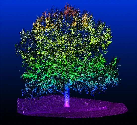 Baum_CoordZ2.webp Baum_CoordZ2.webp