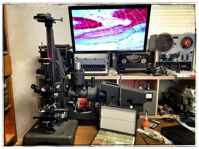 86B455CF-DA8E-4398-9337-618CD90A0658.webp 86B455CF-DA8E-4398-9337-618CD90A0658.webp