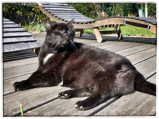 DD9D7BB2-DEC4-4D9C-8391-6B835A653329.webp DD9D7BB2-DEC4-4D9C-8391-6B835A653329.webp