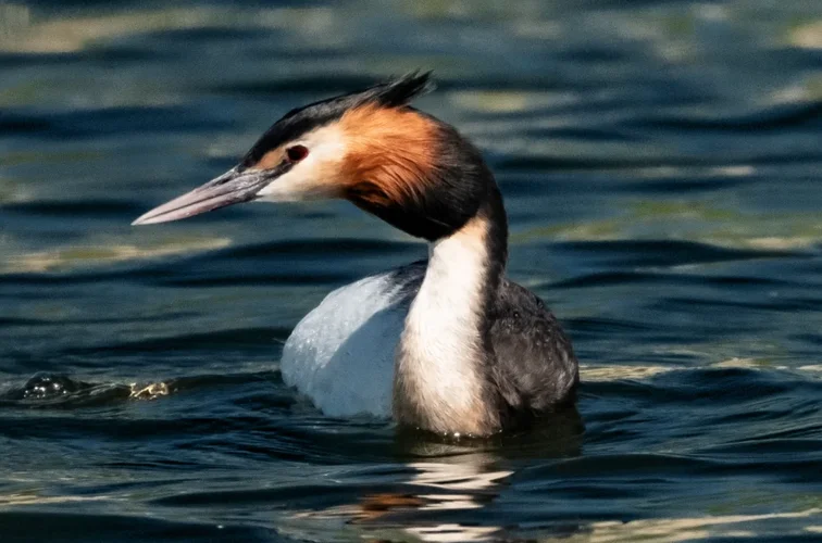 1620801417971.webp 1620801417971.webp