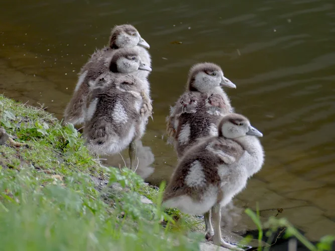 210505_0213_1280x960.jpg 210505_0213_1280x960.jpg