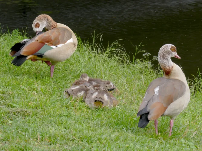 210512_0543_1280x960.jpg 210512_0543_1280x960.jpg