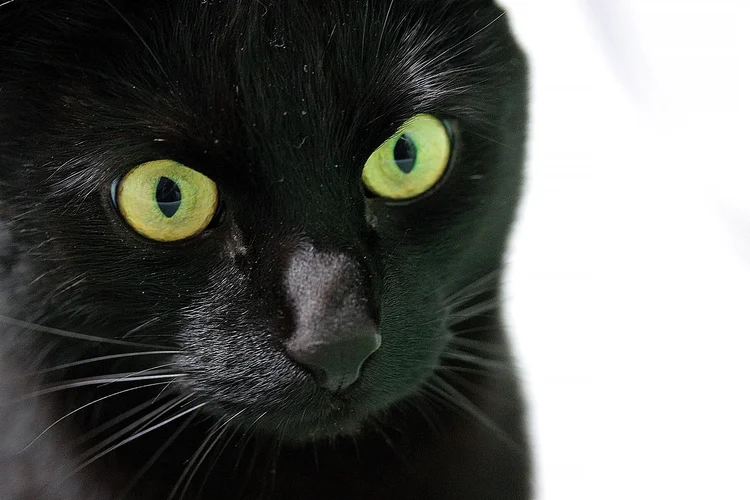 Milow 4_2021.webp Milow 4_2021.webp