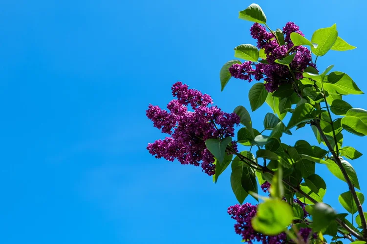 BD8A9D31-55B9-4434-A37E-BB13C8B76A1F.webp BD8A9D31-55B9-4434-A37E-BB13C8B76A1F.webp