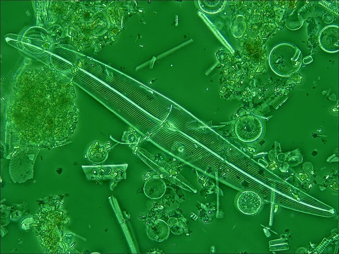 D9E48B29-DB86-4B7E-A366-97BA1E19D473.webp D9E48B29-DB86-4B7E-A366-97BA1E19D473.webp