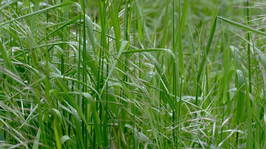 210512_0620_1920x1080.webp 210512_0620_1920x1080.webp