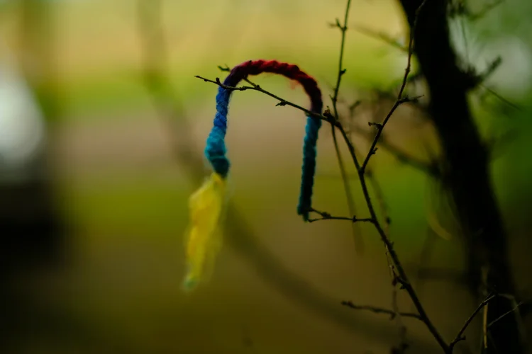 DSCF2428.webp DSCF2428.webp