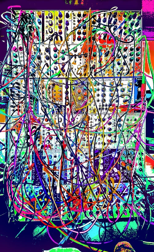 DSC_1348poppig web.webp